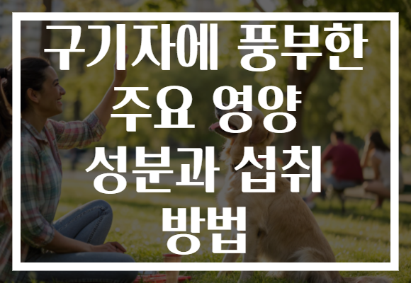 구기자에 풍부한 주요 영양 성분과 섭취 방법