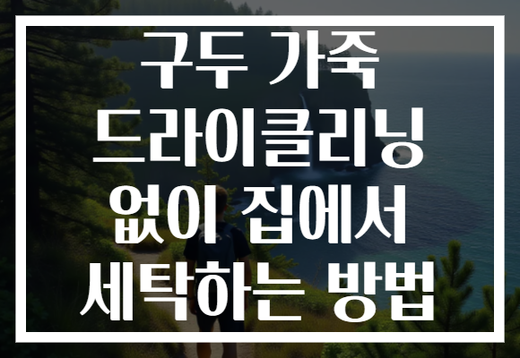 구두 가죽 드라이클리닝 없이 집에서 세탁하는 방법