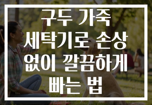 구두 가죽 세탁기로 손상 없이 깔끔하게 빠는 법