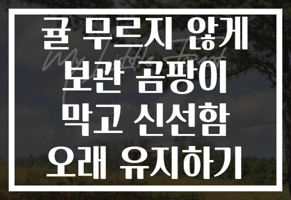 귤 무르지 않게 보관 곰팡이 막고 신선함 오래 유지하기