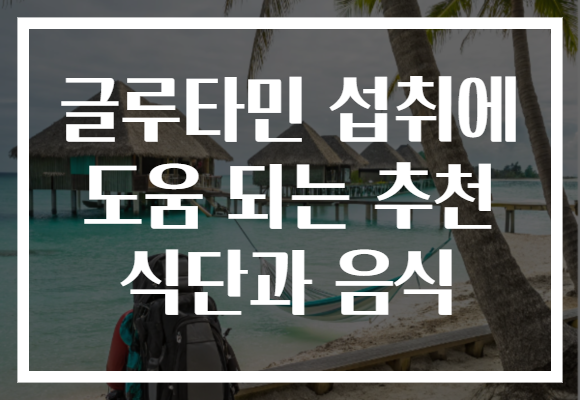 글루타민 섭취에 도움 되는 추천 식단과 음식