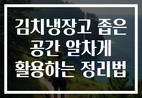 김치냉장고 좁은 공간 알차게 활용하는 정리법