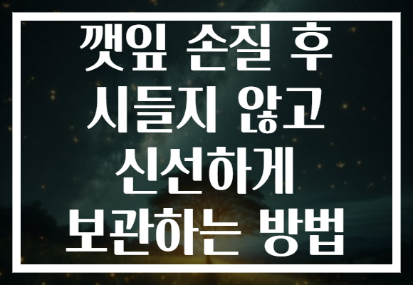 깻잎 손질 후 시들지 않고 신선하게 보관하는 방법