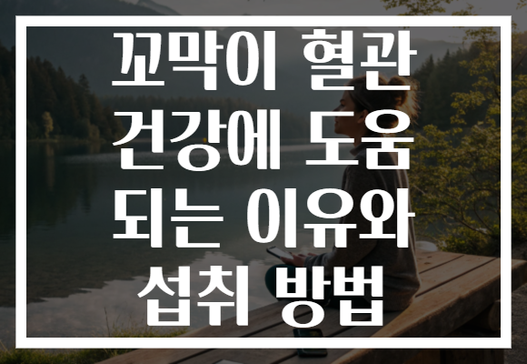 꼬막이 혈관 건강에 도움 되는 이유와 섭취 방법