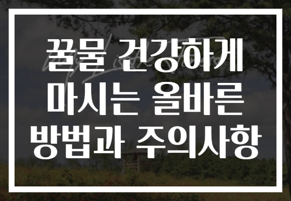 꿀물 건강하게 마시는 올바른 방법과 주의사항