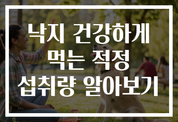 낙지 건강하게 먹는 적정 섭취량 알아보기