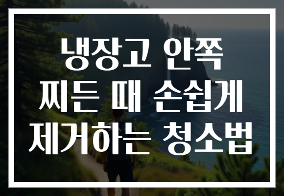 냉장고 안쪽 찌든 때 손쉽게 제거하는 청소법