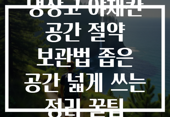 냉장고 야채칸 공간 절약 보관법 좁은 공간 넓게 쓰는 정리 꿀팁