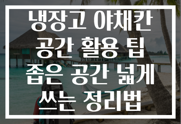 냉장고 야채칸 공간 활용 팁 좁은 공간 넓게 쓰는 정리법