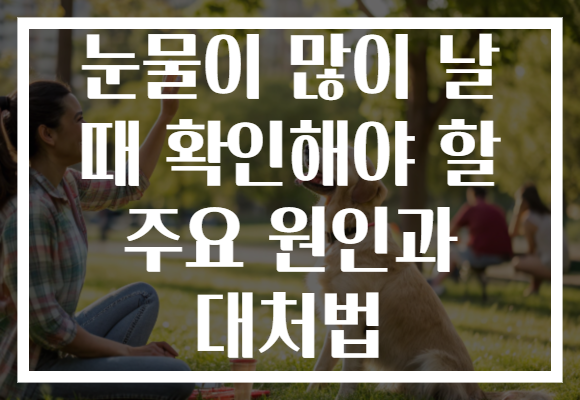 눈물이 많이 날 때 확인해야 할 주요 원인과 대처법