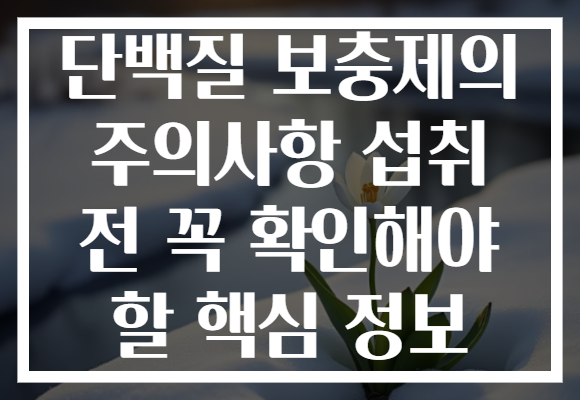 단백질 보충제의 주의사항 섭취 전 꼭 확인해야 할 핵심 정보