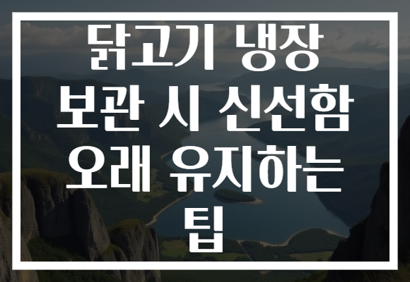 닭고기 냉장 보관 시 신선함 오래 유지하는 팁