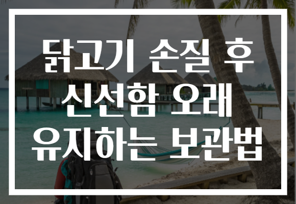 닭고기 손질 후 신선함 오래 유지하는 보관법