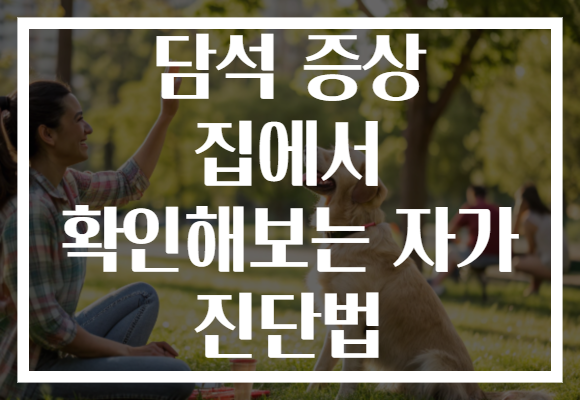 담석 증상 집에서 확인해보는 자가 진단법