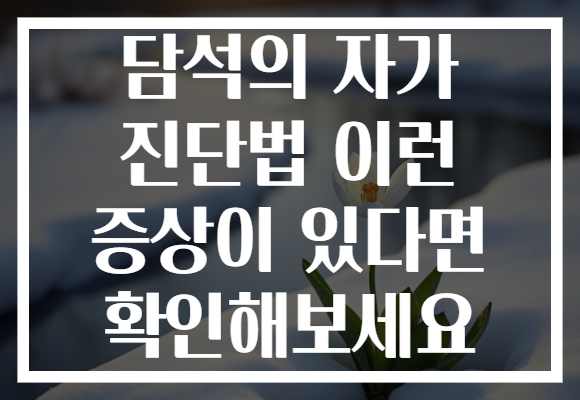 담석의 자가 진단법 이런 증상이 있다면 확인해보세요