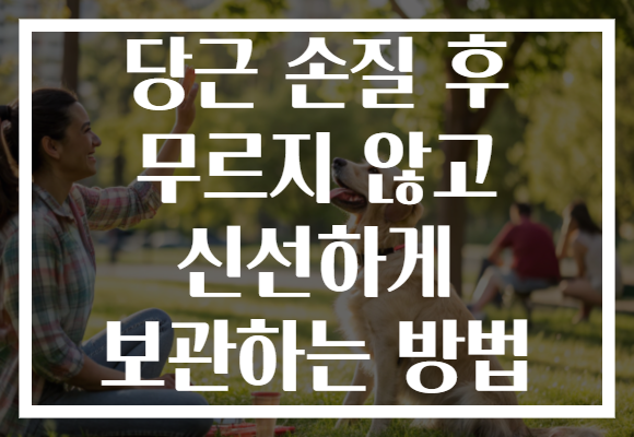 당근 손질 후 무르지 않고 신선하게 보관하는 방법