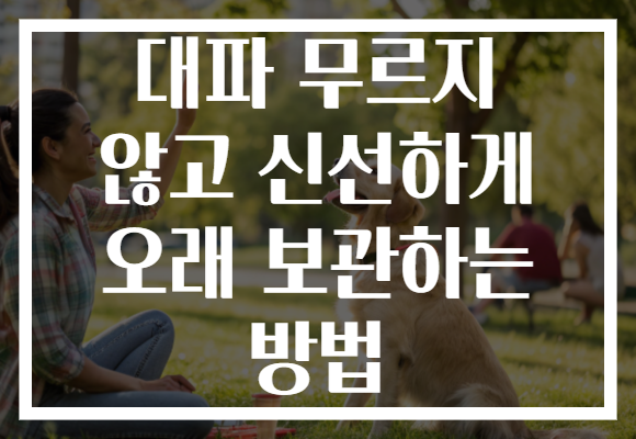 대파 무르지 않고 신선하게 오래 보관하는 방법