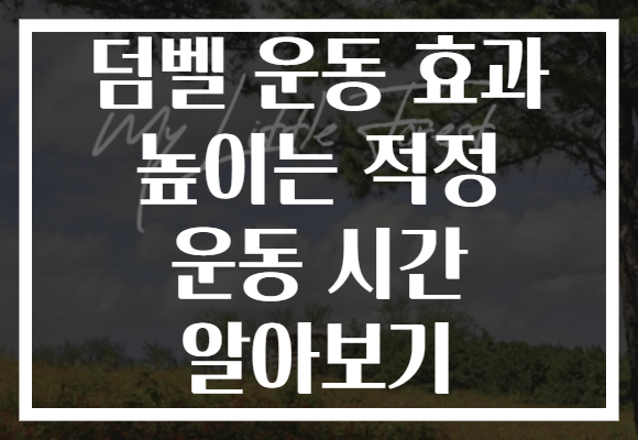 덤벨 운동 효과 높이는 적정 운동 시간 알아보기