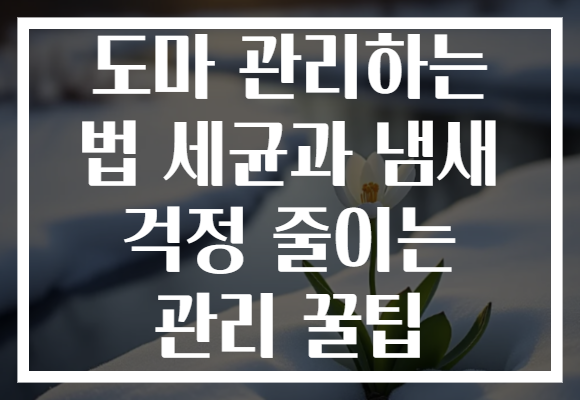 도마 관리하는 법 세균과 냄새 걱정 줄이는 관리 꿀팁