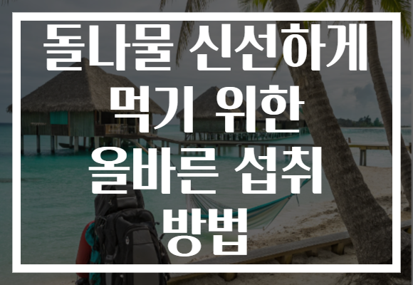 돌나물 신선하게 먹기 위한 올바른 섭취 방법