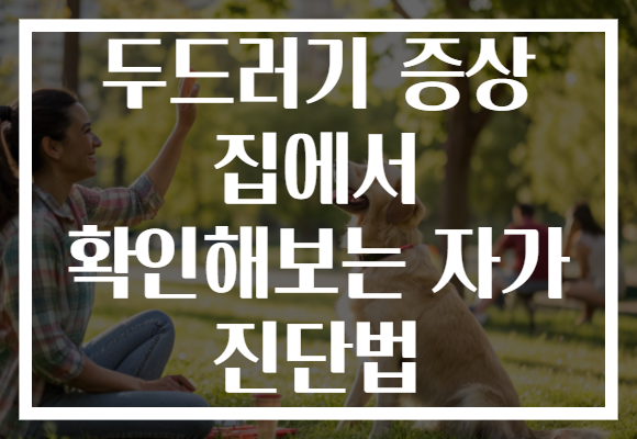 두드러기 증상 집에서 확인해보는 자가 진단법