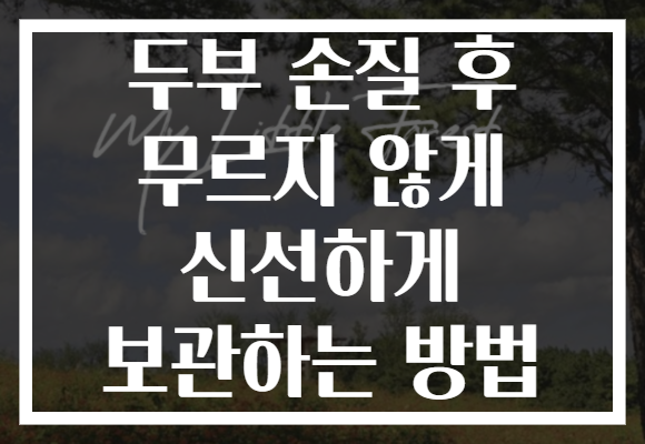 두부 손질 후 무르지 않게 신선하게 보관하는 방법