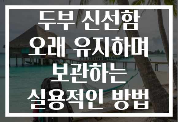 두부 신선함 오래 유지하며 보관하는 실용적인 방법