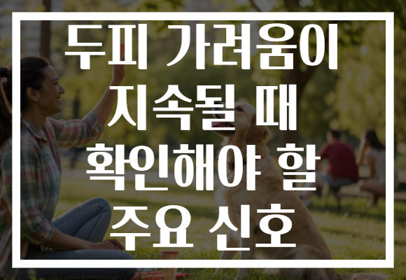 두피 가려움이 지속될 때 확인해야 할 주요 신호