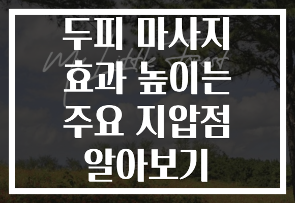 두피 마사지 효과 높이는 주요 지압점 알아보기