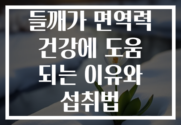 들깨가 면역력 건강에 도움 되는 이유와 섭취법