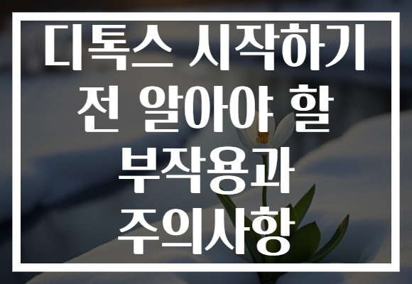 디톡스 시작하기 전 알아야 할 부작용과 주의사항