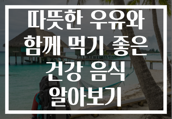 따뜻한 우유와 함께 먹기 좋은 건강 음식 알아보기