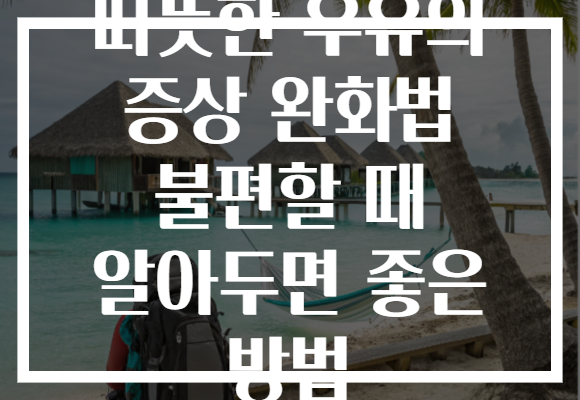 따뜻한 우유의 증상 완화법 불편할 때 알아두면 좋은 방법