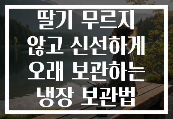 딸기 무르지 않고 신선하게 오래 보관하는 냉장 보관법