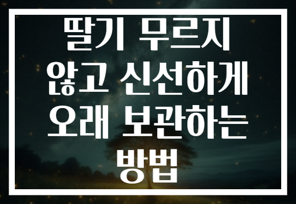 딸기 무르지 않고 신선하게 오래 보관하는 방법
