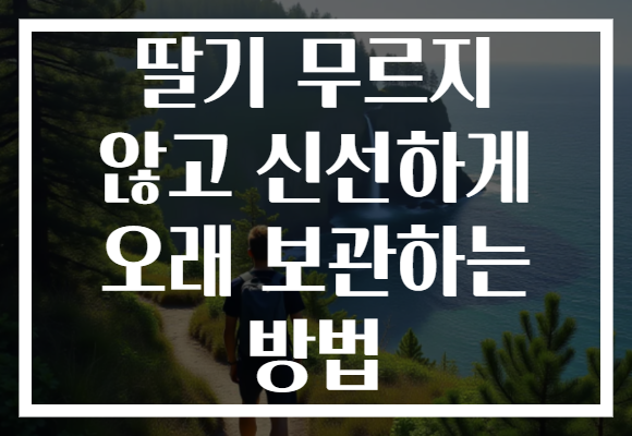 딸기 무르지 않고 신선하게 오래 보관하는 방법