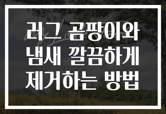 러그 곰팡이와 냄새 깔끔하게 제거하는 방법