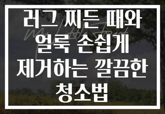 러그 찌든 때와 얼룩 손쉽게 제거하는 깔끔한 청소법
