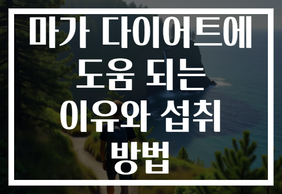 마가 다이어트에 도움 되는 이유와 섭취 방법