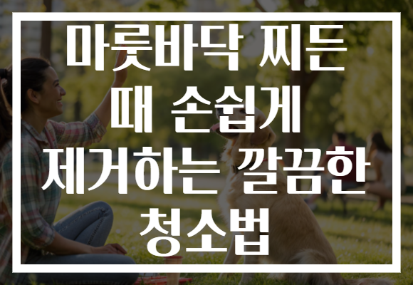 마룻바닥 찌든 때 손쉽게 제거하는 깔끔한 청소법