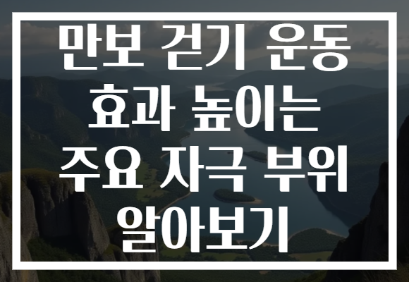 만보 걷기 운동 효과 높이는 주요 자극 부위 알아보기