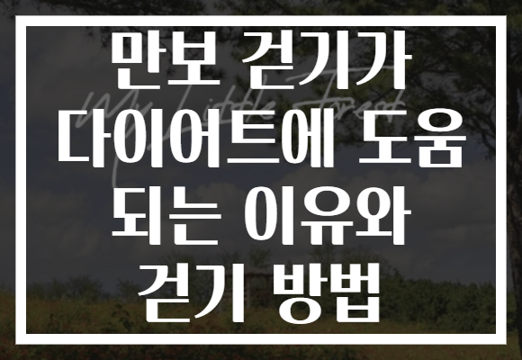 만보 걷기가 다이어트에 도움 되는 이유와 걷기 방법