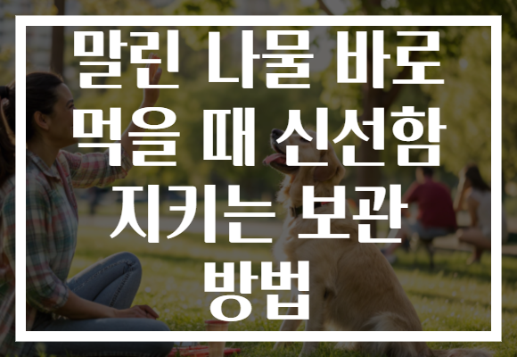 말린 나물 바로 먹을 때 신선함 지키는 보관 방법