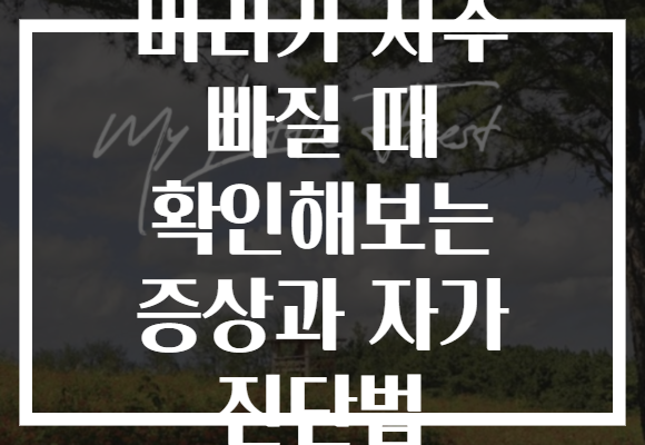 머리가 자주 빠질 때 확인해보는 증상과 자가 진단법