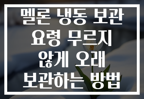 멜론 냉동 보관 요령 무르지 않게 오래 보관하는 방법