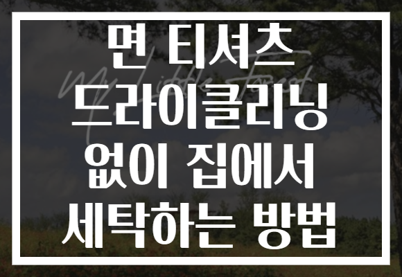 면 티셔츠 드라이클리닝 없이 집에서 세탁하는 방법