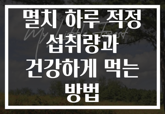 멸치 하루 적정 섭취량과 건강하게 먹는 방법