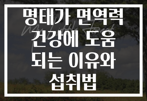 명태가 면역력 건강에 도움 되는 이유와 섭취법