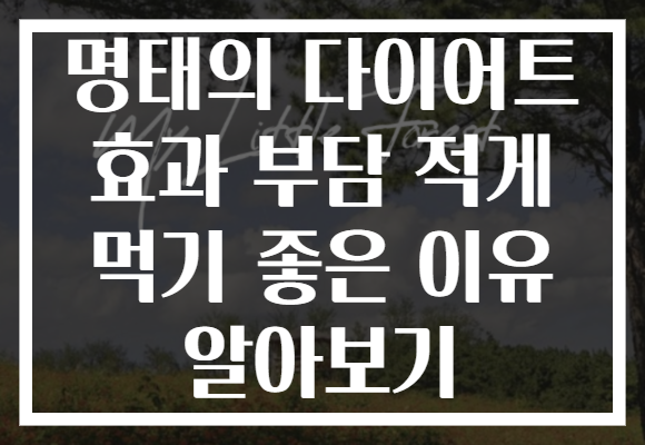 명태의 다이어트 효과 부담 적게 먹기 좋은 이유 알아보기
