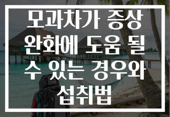 모과차가 증상 완화에 도움 될 수 있는 경우와 섭취법